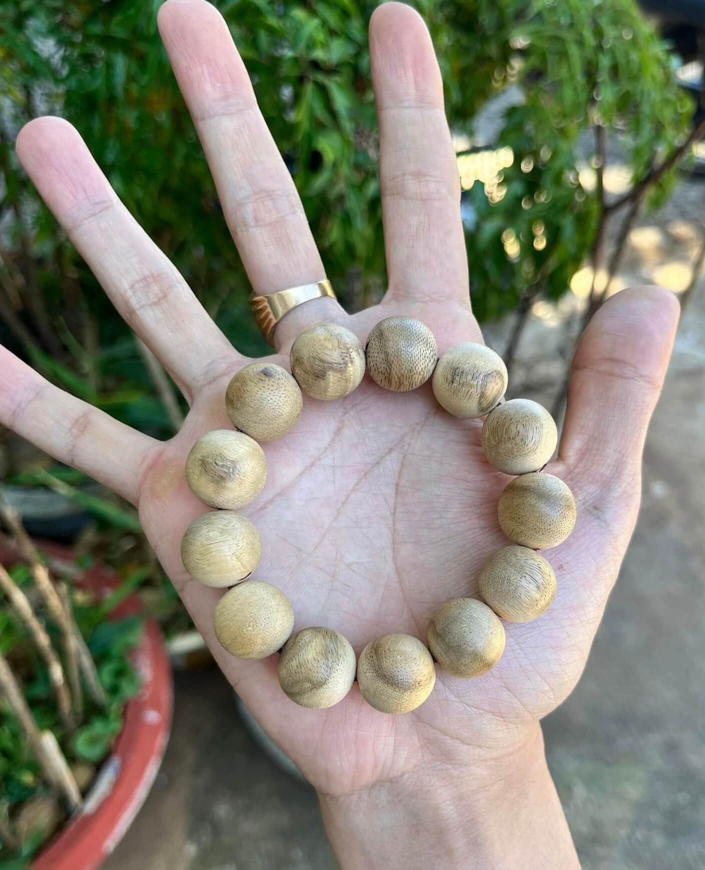 16mm Wild Khanh Hoa Agarwood Bracelet - Vietnam Agarwood