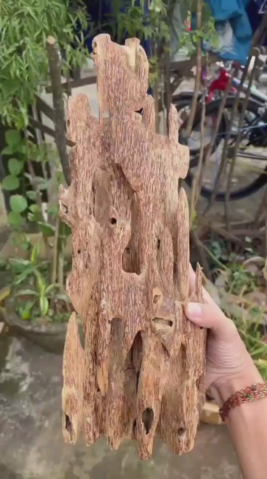 Khanh Hoa agarwood decore-8